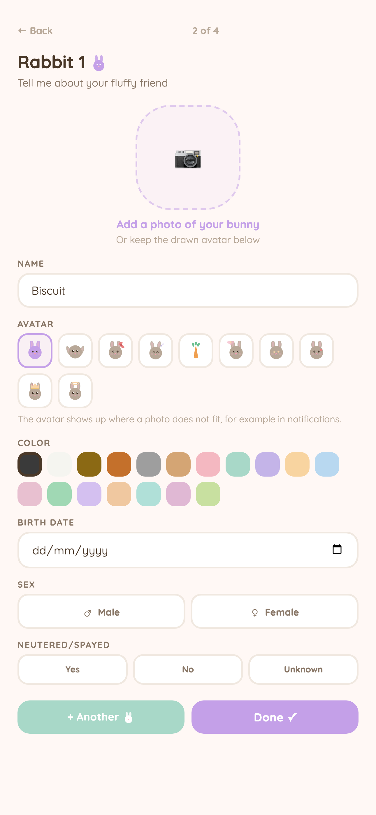 Add your rabbit